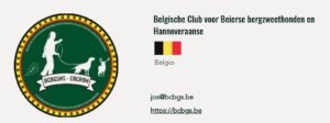 Club – Belgio