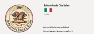 SHCI – Italia