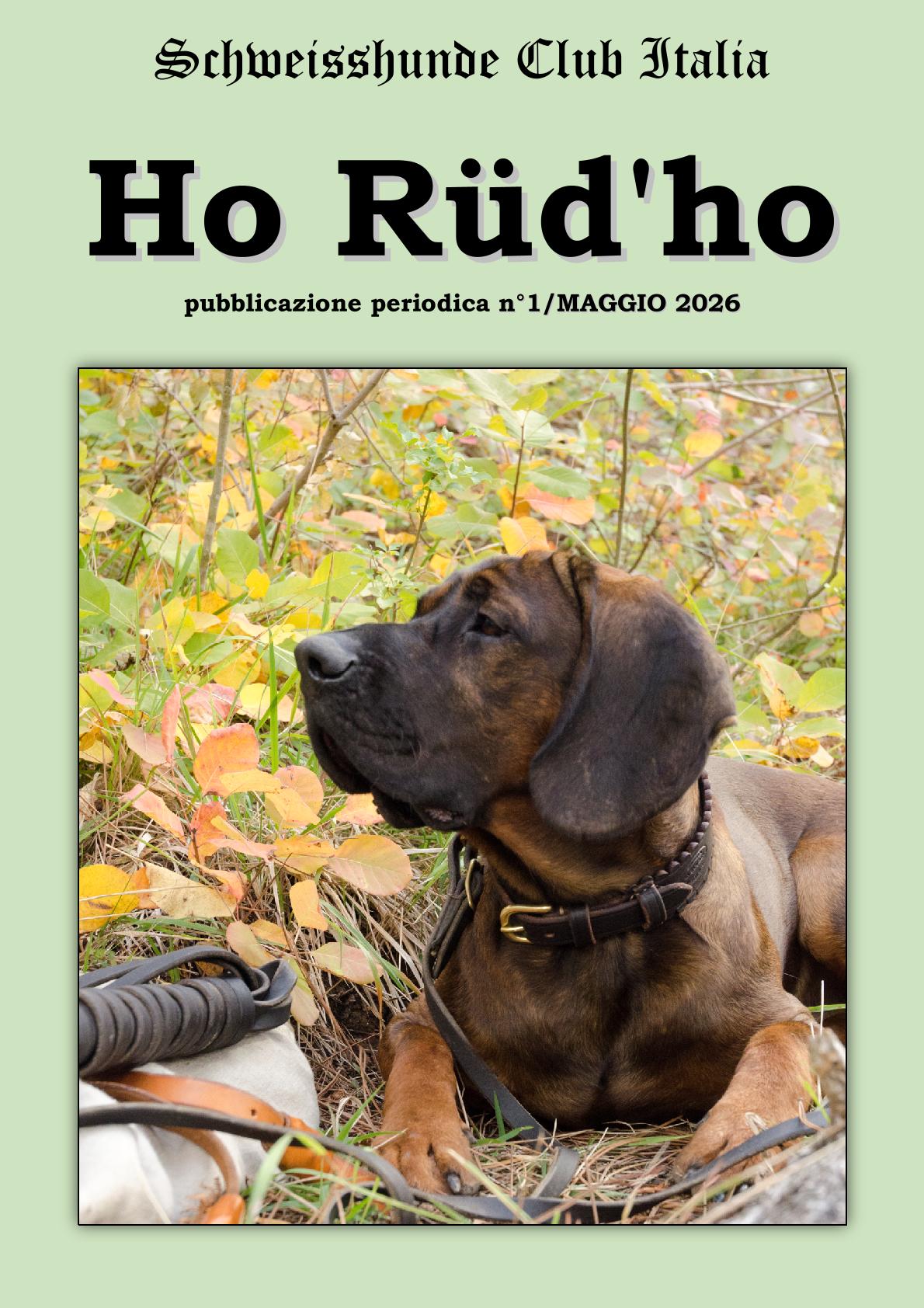 Ho Rüd'ho - Quaderni SHCI n.1 Maggio 2026